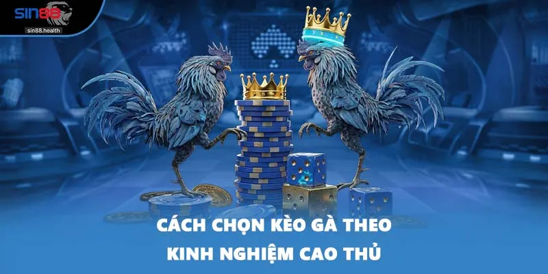 Cách chọn kèo gà theo kinh nghiệm cao thủ