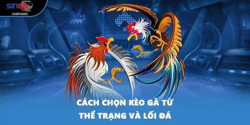 Cách chọn kèo gà từ thể trạng và lối đá