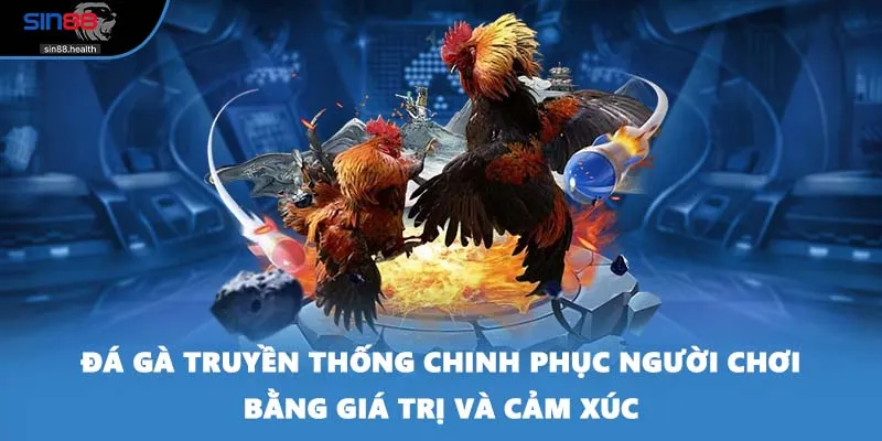 Đá gà truyền thống chinh phục người chơi bằng giá trị và cảm xúc
