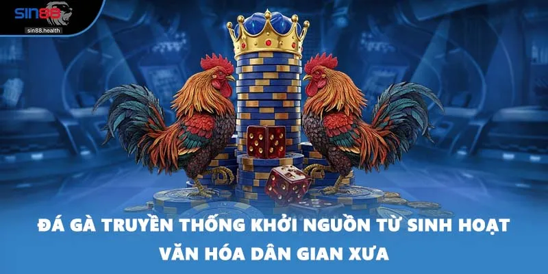 Đá gà truyền thống khởi nguồn từ sinh hoạt văn hóa dân gian xưa