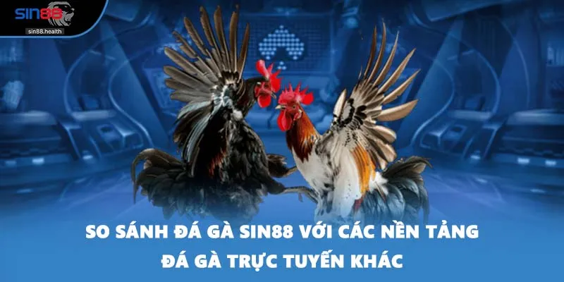 So sánh đá gà SIN88 với các nền tảng đá gà trực tuyến khác